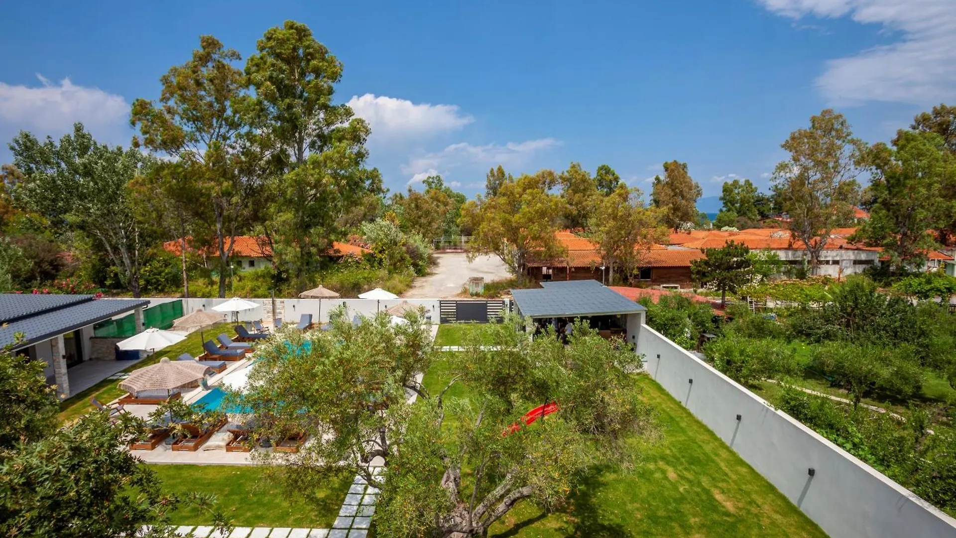 Olia Seaside Residence 120M From The Beach Pefkochori Lejlighed